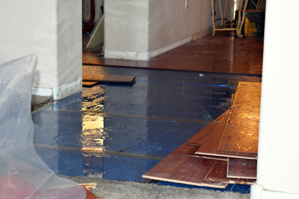 Professional Sewage Cleanup technician working in Viola, WI